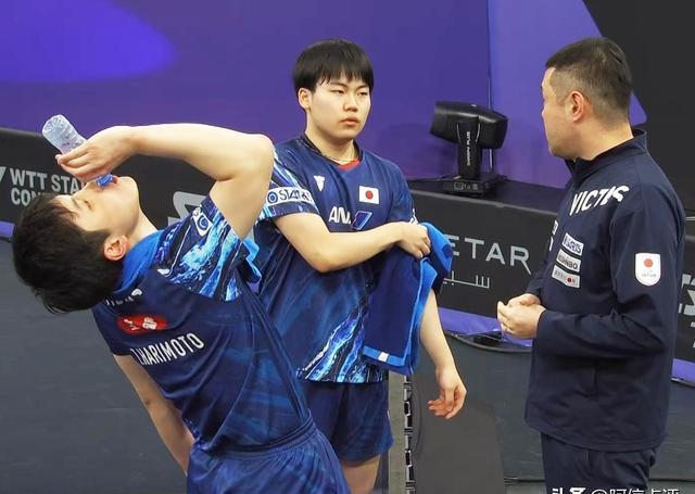 比利时乒乓球队血洗瑞典乒乓球队,张本智和爆发神勇 比利时乒乓球队血洗瑞典乒乓球队,张本智和爆发神勇