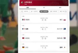 开云体育APP下载-意大利网球队鏖战西班牙网球队，瓦林卡高光表现