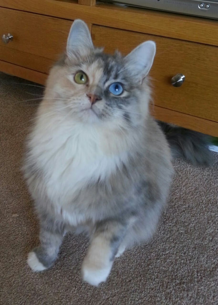 撕裂之城的防守消亡史,当开拓者用152分活埋奇才,哈利伯顿却在创造另一个次元的神话