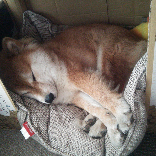 破壁之战，当曼城的沉默遇上猛龙的低吼