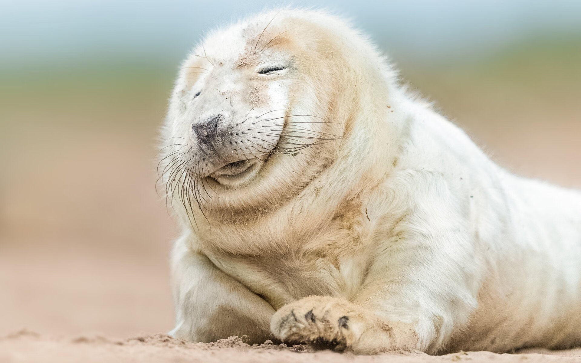 归来仍是密码破译者，坎特用史诗级覆盖，唯一破解皇家社会铁阵