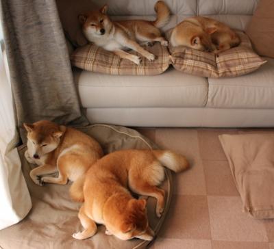 绿茵唯一性,从冻土崛起到伯纳乌称王—2024年足球的两种决定性叙事