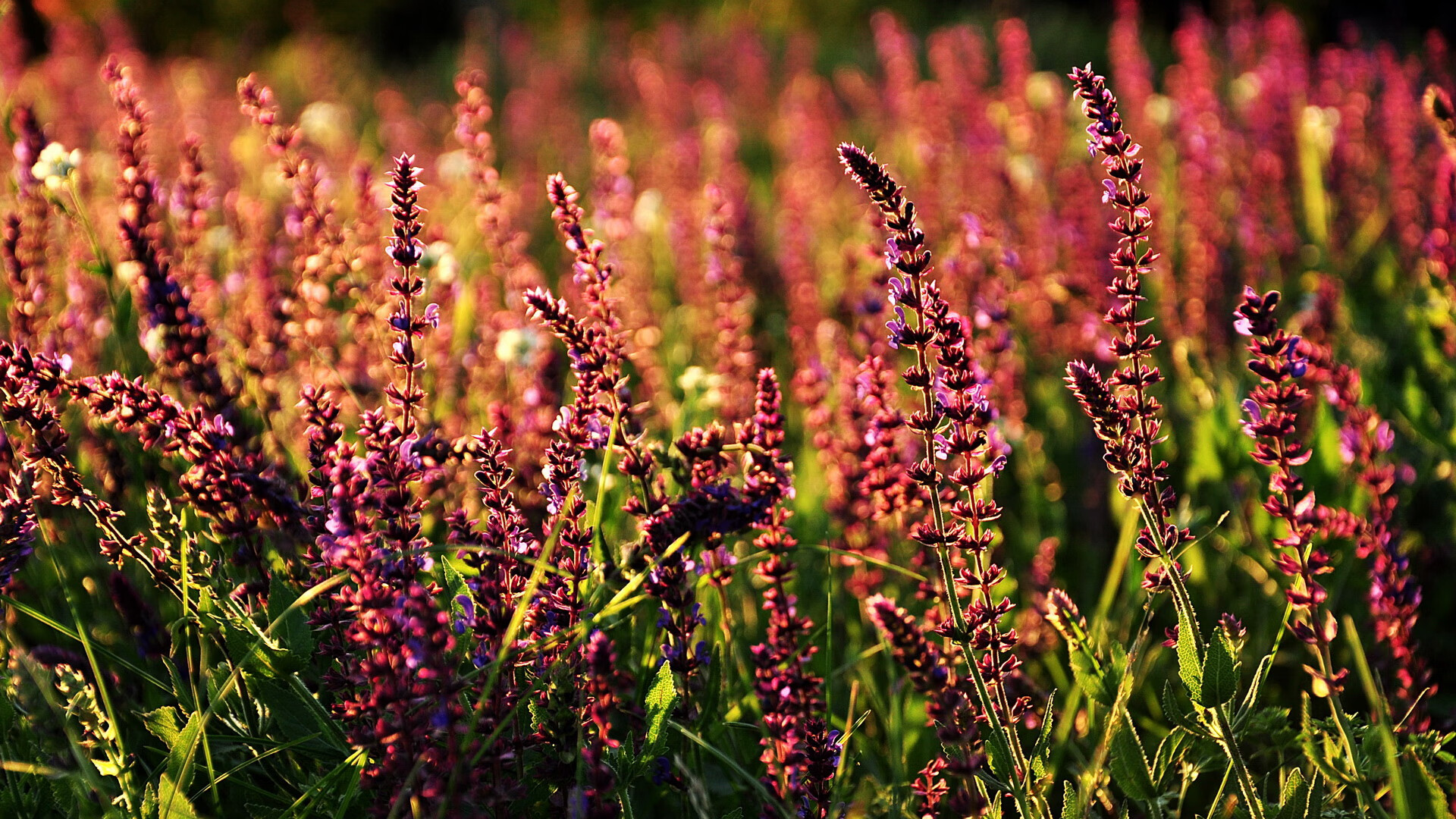 东决硝烟与安联惊雷,体育史上唯一交汇的独一刹那