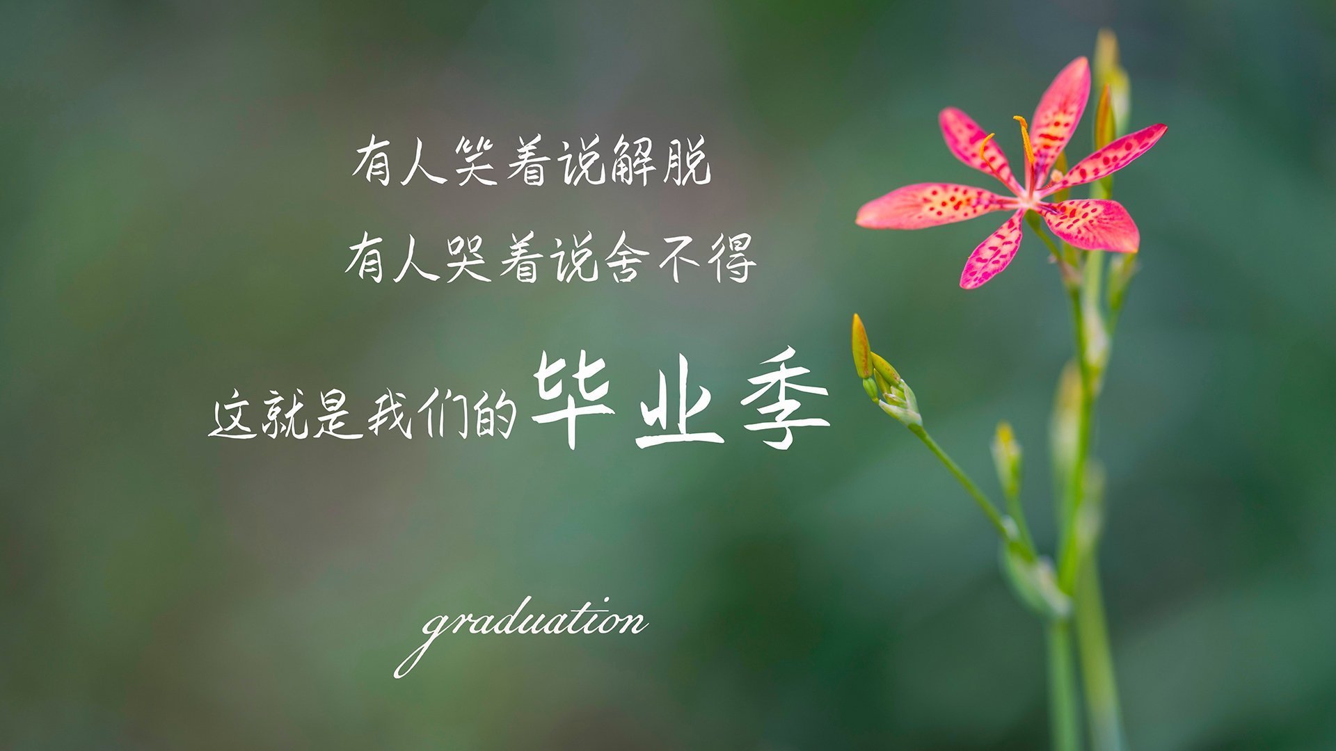 开云体育app-双星战歌，拉什福德轻灵舞步与加纳蛮牛冲撞下的同一曲胜利狂想