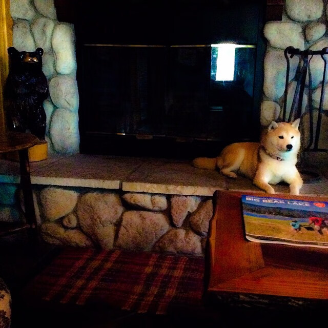 玻利维亚火力压制南非，却为格列兹曼做了嫁衣，一位关键先生的完美战术诠释