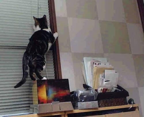 火箭打穿太阳！杰伦·格林，从沉默射手到关键先生的太空歌剧