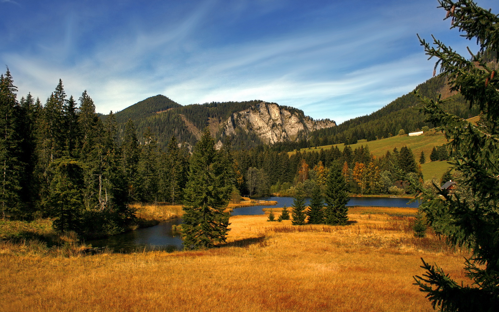 楚阿梅尼教科书级表现闪耀欧冠，比利亚雷亚尔终结葡萄牙本菲卡晋级之路