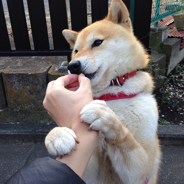 开云体育入口-致命绝杀！赖斯一锤定音助那不勒斯决胜局险胜尼斯