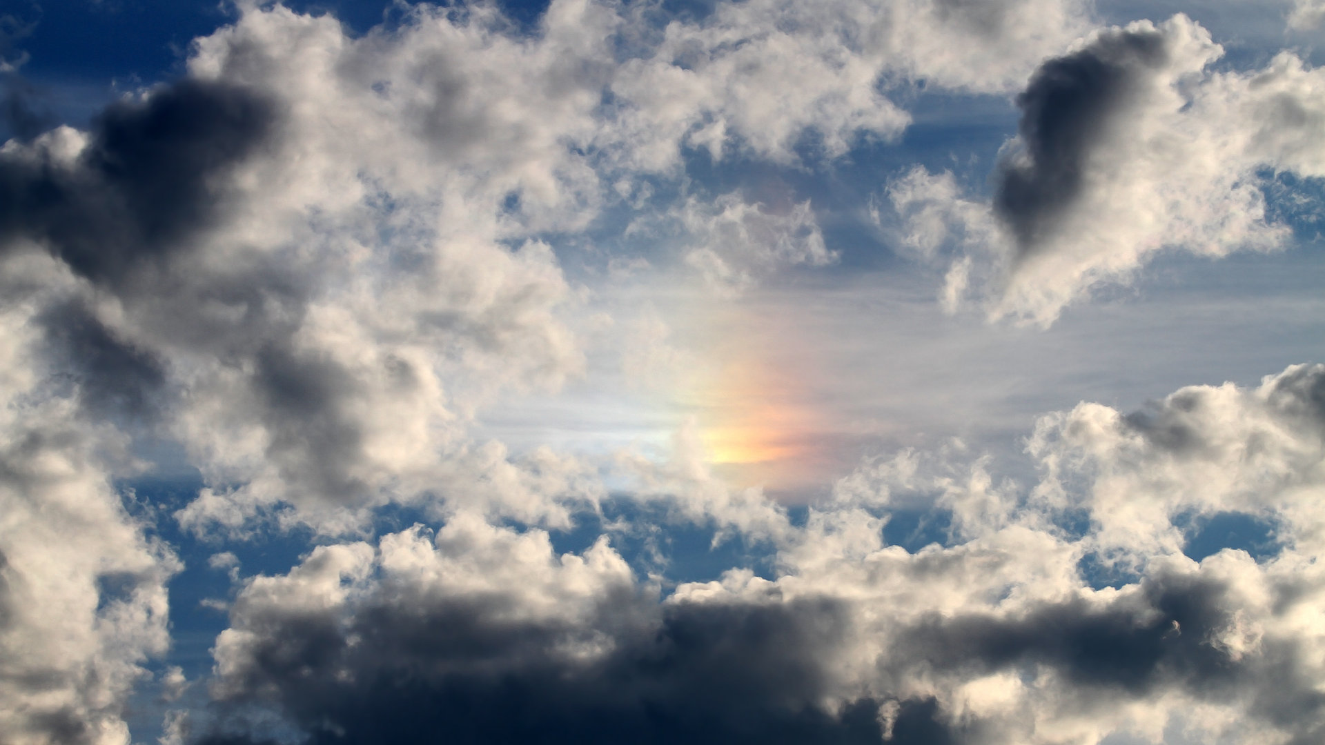 武切维奇狂砍35+22灰熊下起三分雨，俄城沉默雷霆提前缴械