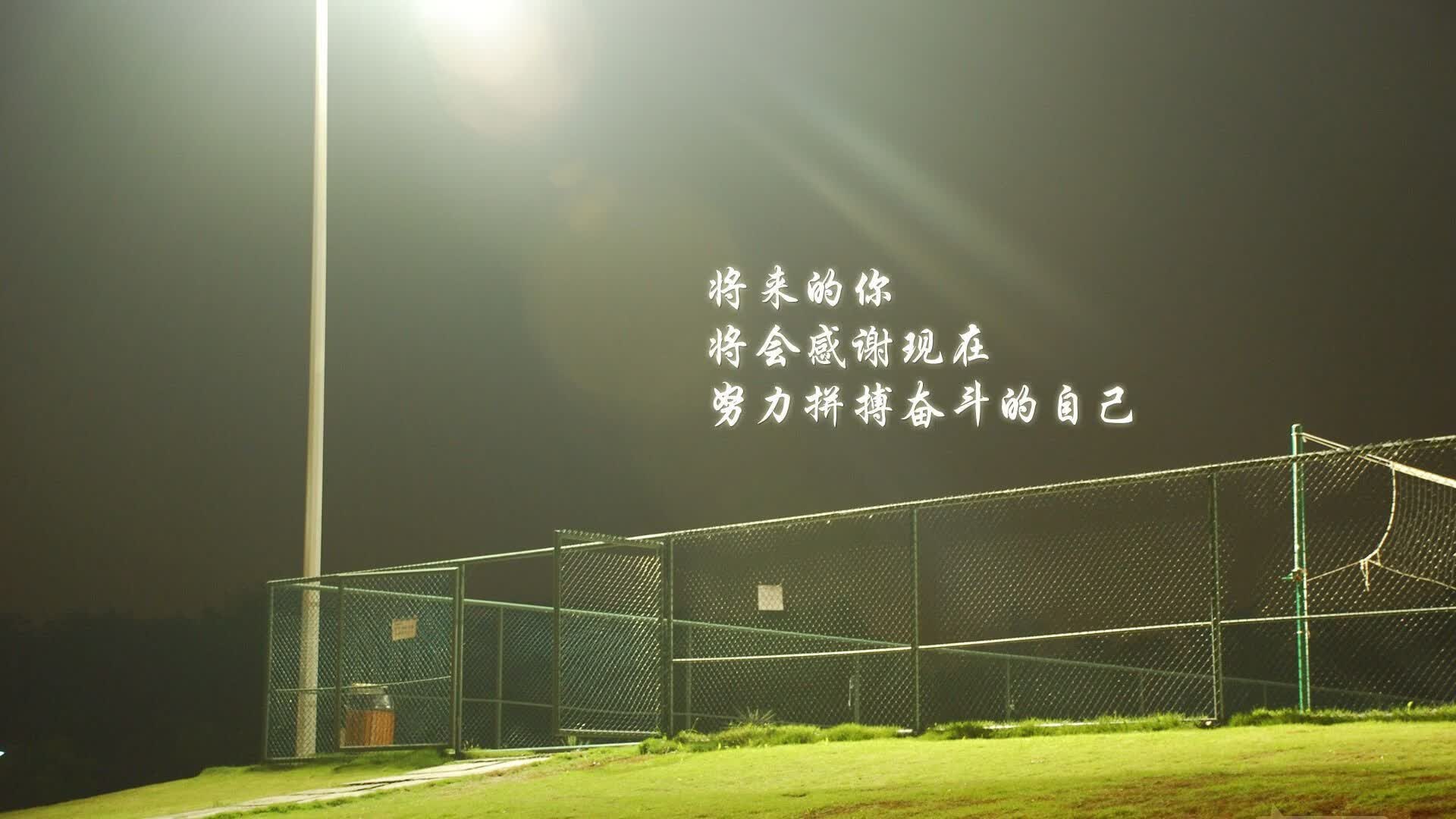 开云体育app-索菲亚的奇迹之夜，当保加利亚在2026世界杯八分之一决赛中，用一场大胜撕裂尼日利亚的非洲雄狮梦